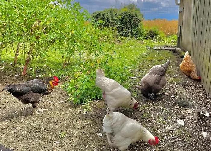 Des Etourniaux Dom wakacyjny *