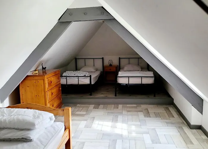 Des Etourniaux La Poterie-Mathieu